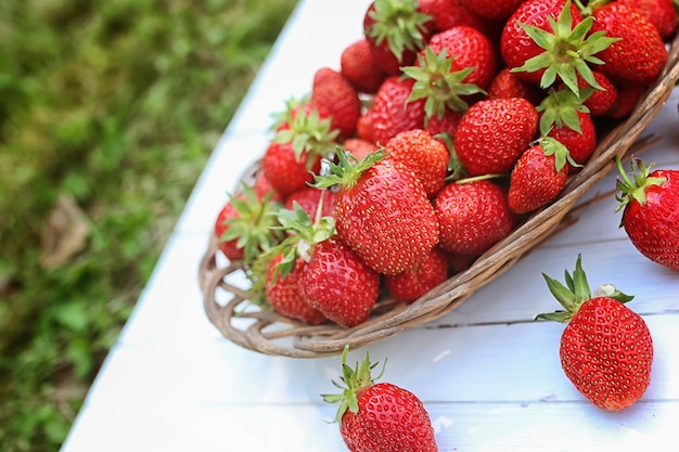 Fresa en bolsa de mimbre al aire libre