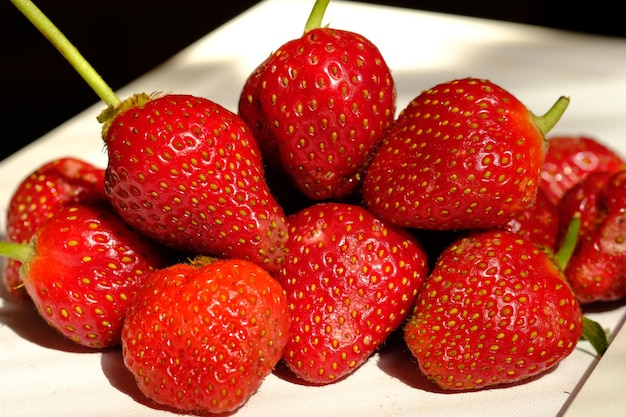 La fresa es una planta pequeña del género de las fresas silvestres de la familia de las rosáceas. fresa en el plato