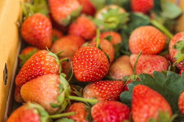 Foto fresas en caja de papel.