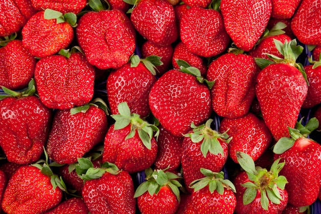 Foto fresas en caja