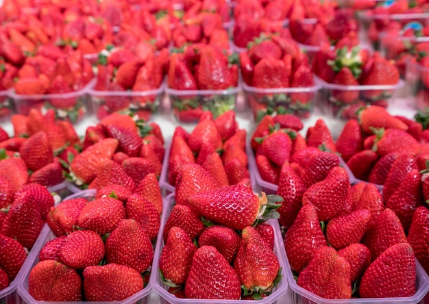 Fresas en cajas de plástico en puesto en el mercado