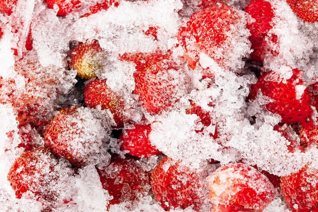 Fresas congeladas en la nieve.