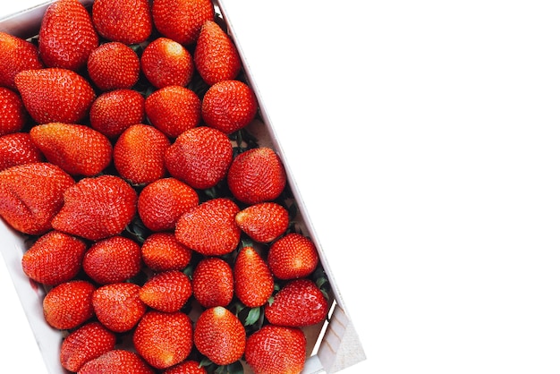 Fresas cosechadas maduras frescas en el cuadro de primer plano copia espacio fondo blanco.