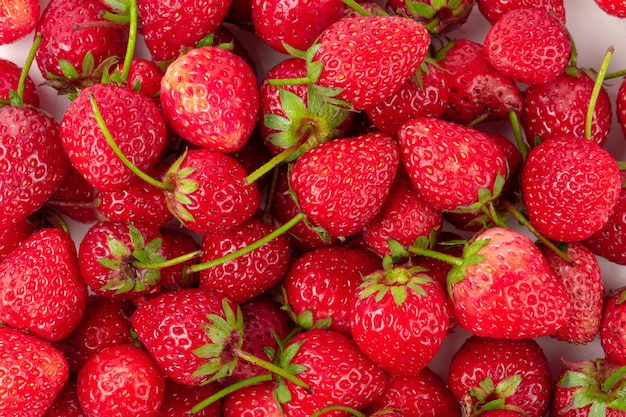 Fresas frescas aisladas sobre un fondo blanco