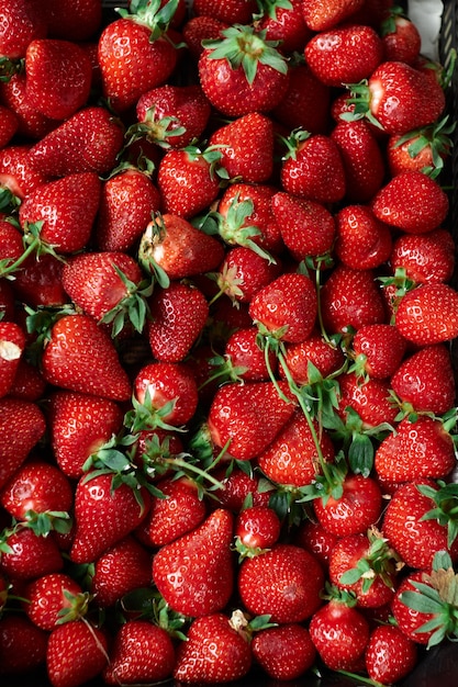 Fresas frescas brillantes en el mercado orgánico