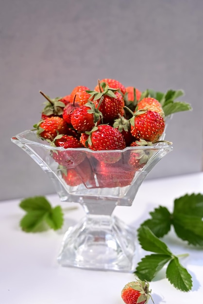 Fresas frescas de cosecha propia en un tazón entre arbustos de fresas Bayas rojas maduras recogidas en el jardín de la casa Frutas de verano fondo de colores vivos