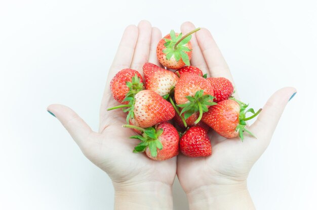 Fresas frescas Mano de mujer sosteniendo una apetitosa fresa en la mano burlona de la mujer en el fondo blanco