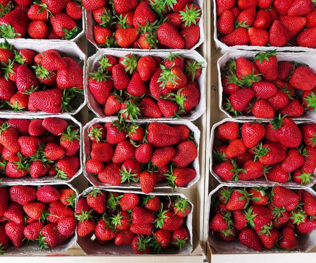 Fresas frescas en el mercado