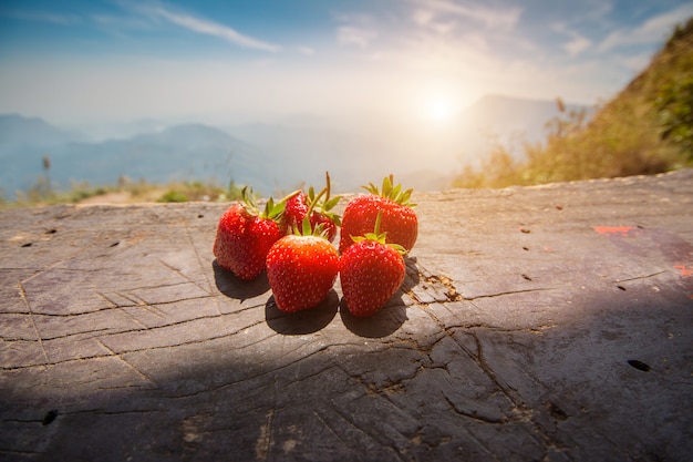 Fresas frescas en mesa de madera con montaña en la mañana