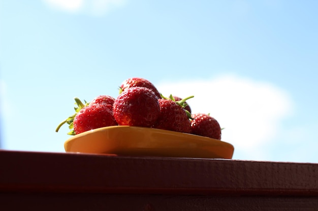 Fresas frescas en una taza en la naturaleza