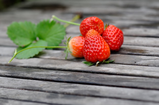 Fresas de frescura en tablón