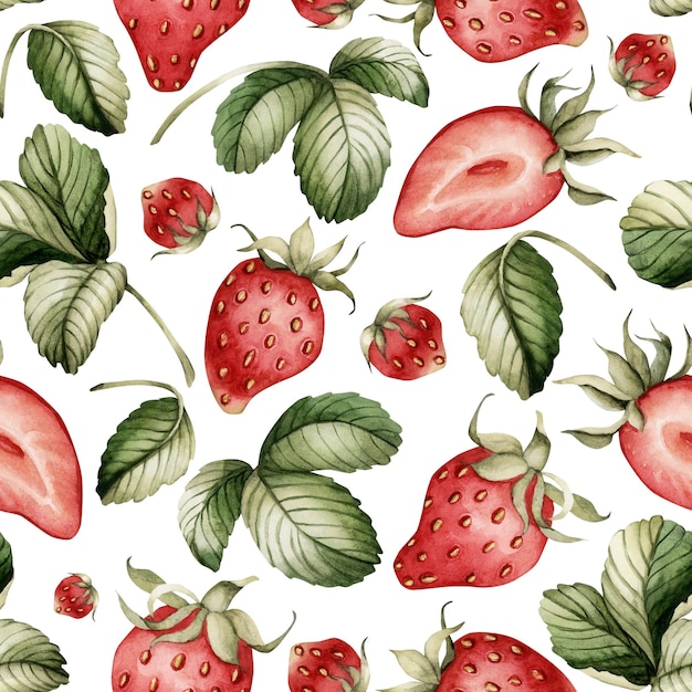 Fresas con hojas acuarela de alimentos con patrón floral sin costuras en fondo blanco con bayas de jardín