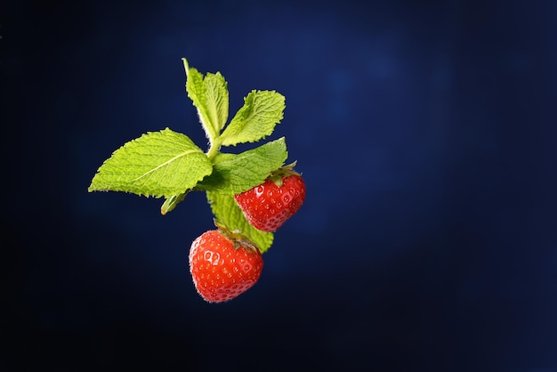 Fresas con hojas de mentol sobre un fondo azul oscuro