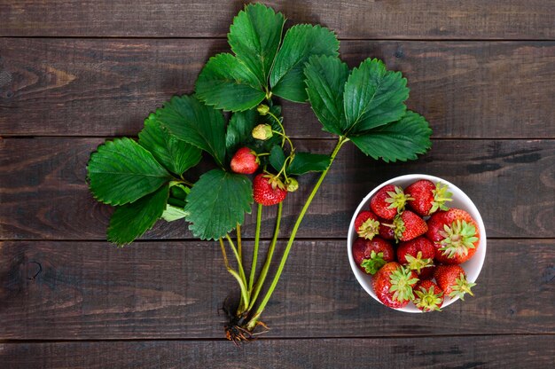 Fresas y hojas verdes sobre una tabla de madera oscura