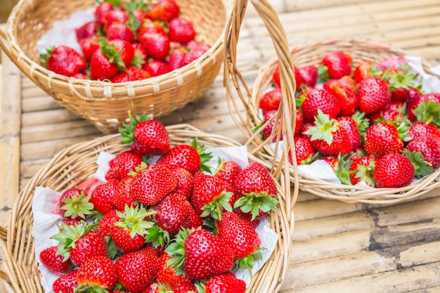 Fresas en jardines al aire libre.