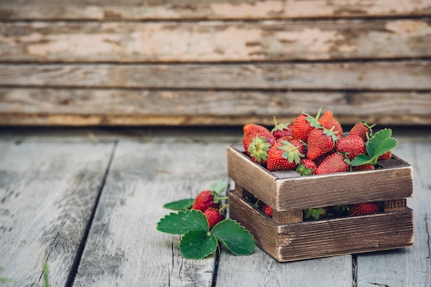 Fresas jugosas frescas con hojas. Caja de madera rústica y encaje artesanal. Imagen de revista retro. Fresa con espacio de copia.