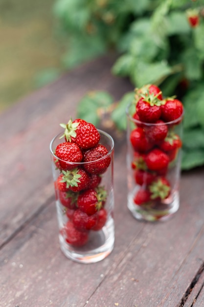 Fresas jugosas frescas en un vaso sobre una mesa de madera en el jardín. Concepto de jugo de fresa natural