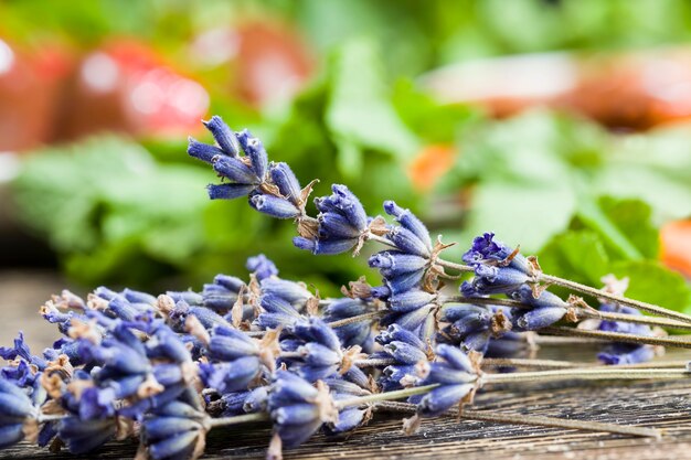 fresas, lavanda y otras plantas