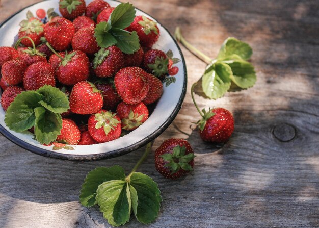 Fresas maduras en un bol Jardinería casera