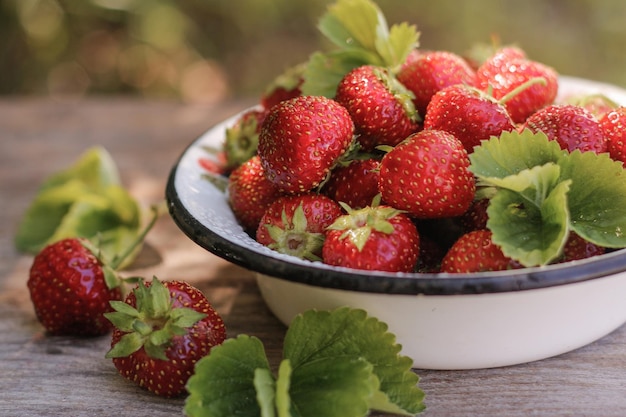 Fresas maduras en un bol Jardinería casera