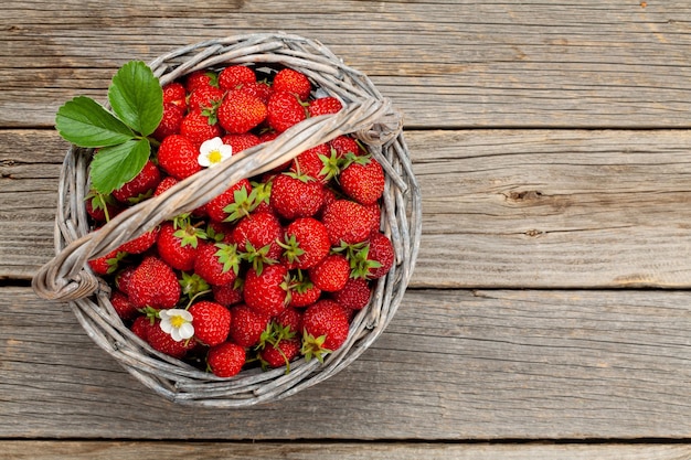 Fresas maduras en cesta