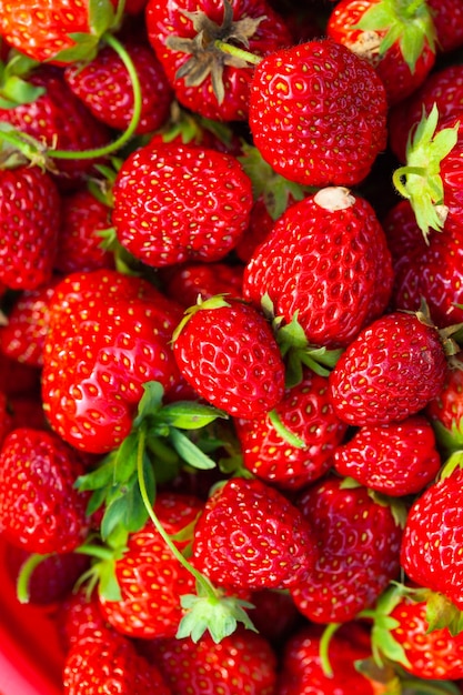 Fresas maduras frescas cerrar