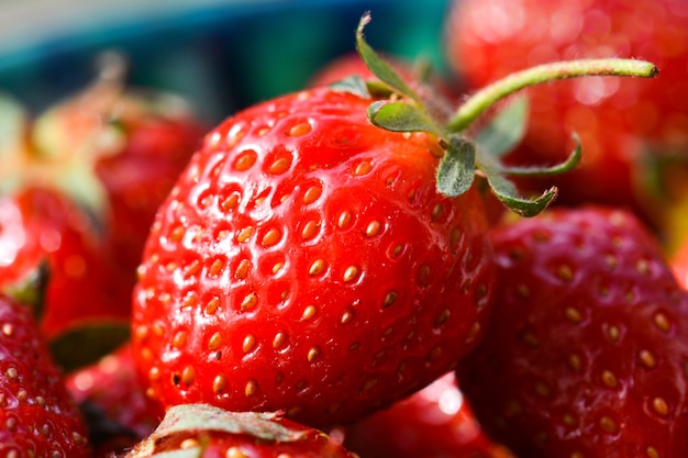 Fresas maduras jugosas