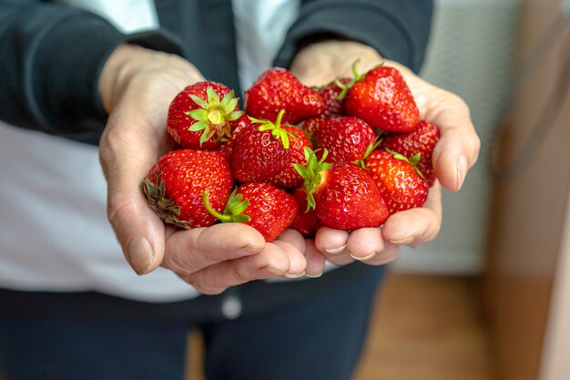 Fresas maduras en manos de un hombre