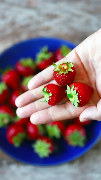 Foto fresas maduras en una placa azul.