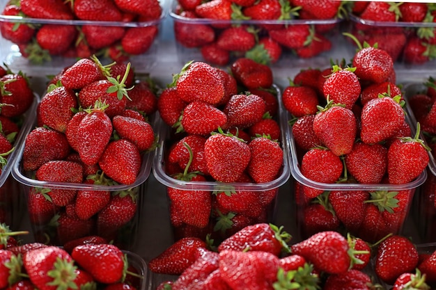 Fresas en el mostrador del mercado, bayas frescas de verano.