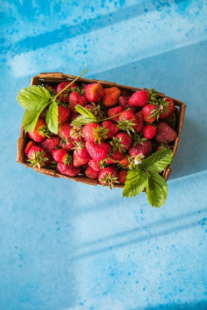 Fresas orgánicas maduras frescas en la vieja canasta sobre fondo azul vista superior