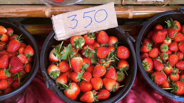 Fresas orgánicas maduras en el mercado local de alimentos saludables recién cosechados