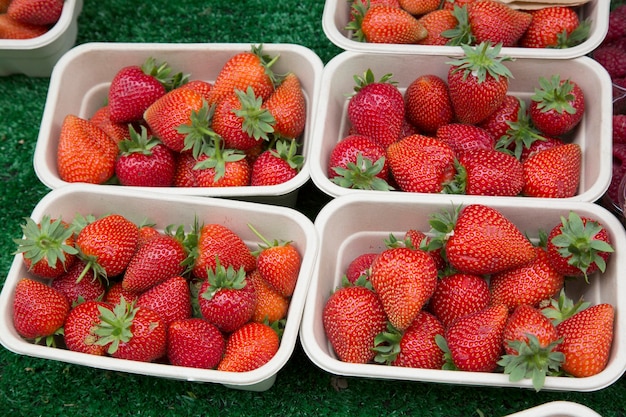 Fresas rojas en bateas en el mercado