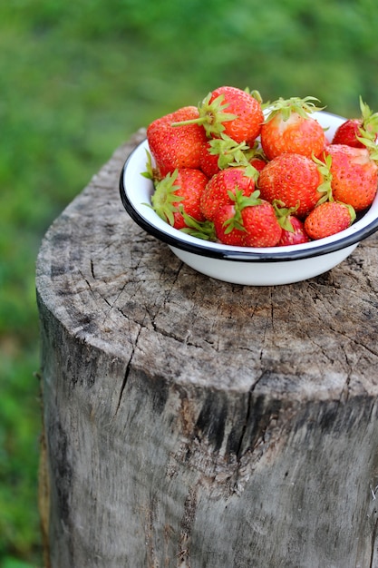 Fresas rojas Bayas maduras grandes en un cuenco en un fondo borroso de la naturaleza.