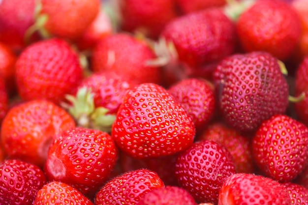 Fresas rojas maduras Bayas orgánicas frescas para una alimentación saludable