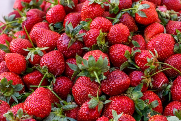 Fresas rojas maduras frescas con hojas verdes