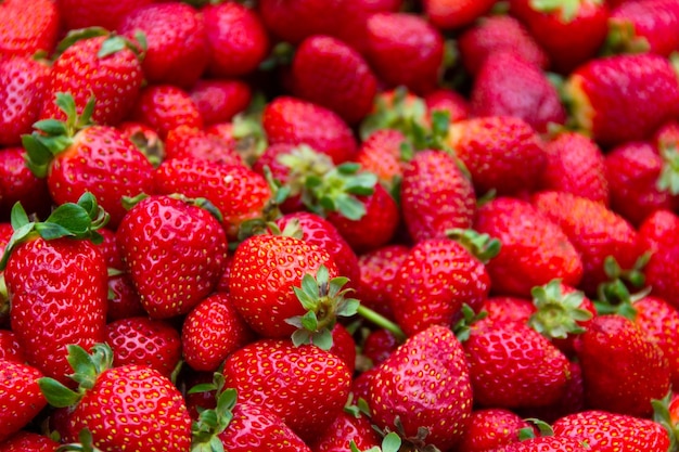 Fresas rojas en el mercado. Fruta fresca en puesto. Cosecha, conceptos de fondo de alimentos