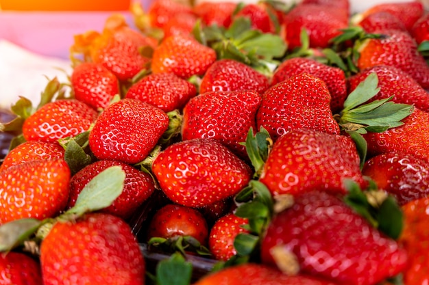 Fresas rojas en el mercado