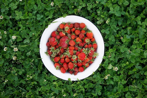 Fresas rojas en un recipiente blanco. Alimentación natural, un estilo de vida saludable.