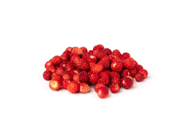 Fresas silvestres aisladas