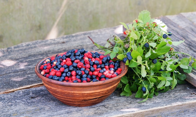 fresas silvestres y arándanos en un recipiente rojo