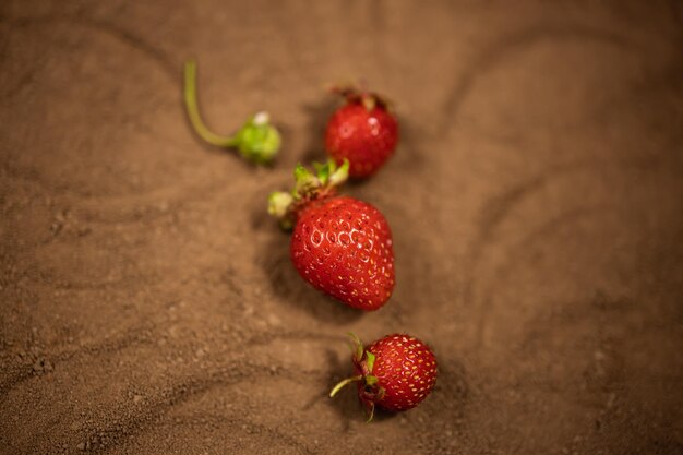 Fresas sobre un fondo de textura de cacao