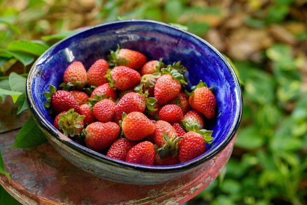 Fresas sobre un ladrillo de arcilla azul.