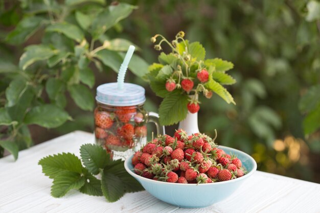 fresas en un tazón