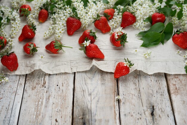 Fresas de verano y flor de cerezo de ave.