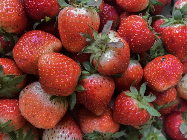 Fresca madura sin cosechar de granja orgánica.