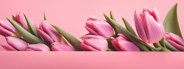 Fresco buquê exuberante de tulipas cor de rosa isoladas no fundo branco