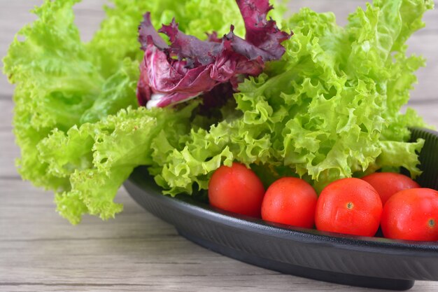 Fresco Close up Tomate cereja com salada de alface