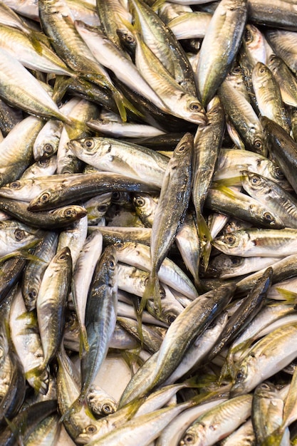 Foto fresco para venda no mercado de peixes