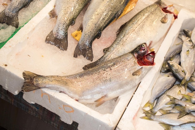 Fresco a la venta en el mercado de pescado